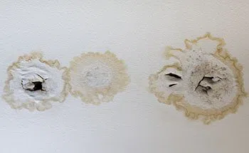 Coconut Creek Restoration Company Coconut Creek, FL 954-302-7165 - serv-cont-leaks