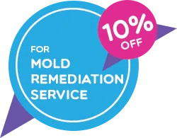 Coconut Creek Restoration Company Coconut Creek, FL 954-302-7165 Coconut Creek Restoration Company Coconut Creek, FL 954-302-7165