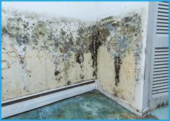 Coconut Creek Restoration Company Coconut Creek, FL 954-302-7165 Coconut Creek Restoration Company Coconut Creek, FL 954-302-7165