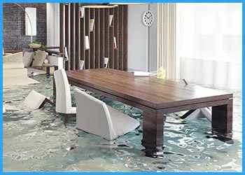 Coconut Creek Restoration Company Coconut Creek, FL 954-302-7165 Coconut Creek Restoration Company Coconut Creek, FL 954-302-7165